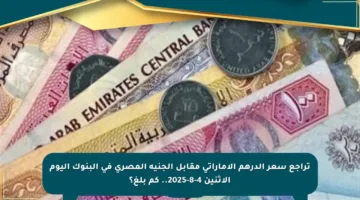 تراجع سعر الدرهم الإماراتي مقابل الجنيه المصري في البنوك اليوم الاثنين 4-8-2025.. كم بلغ؟